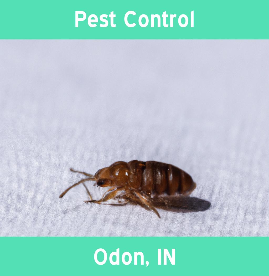 pest control in Odon Indiana