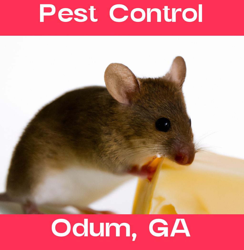 pest control in Odum Georgia