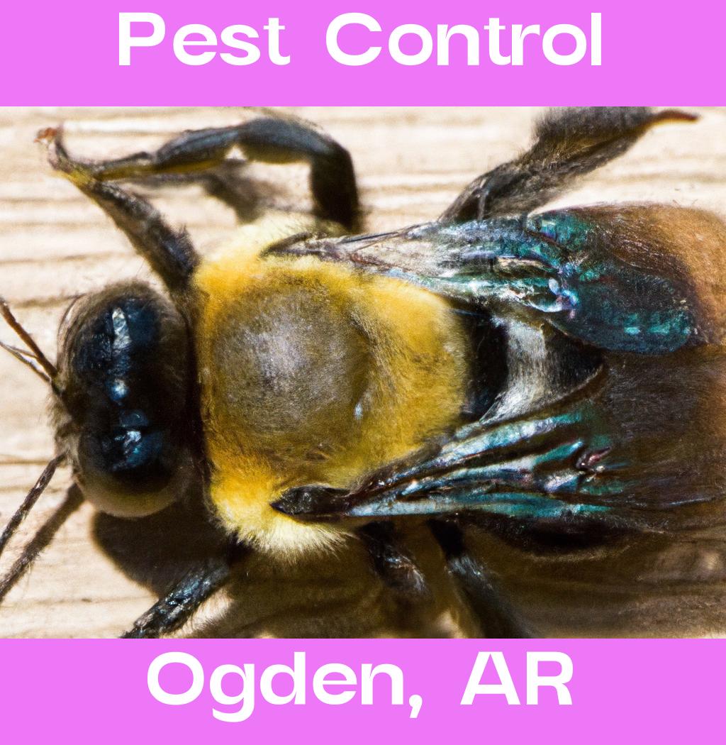 pest control in Ogden Arkansas
