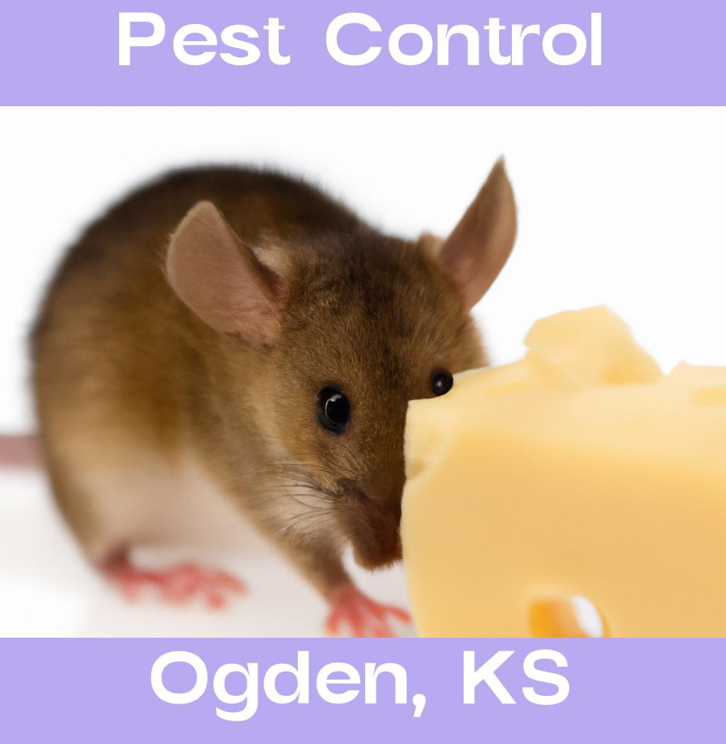 pest control in Ogden Kansas
