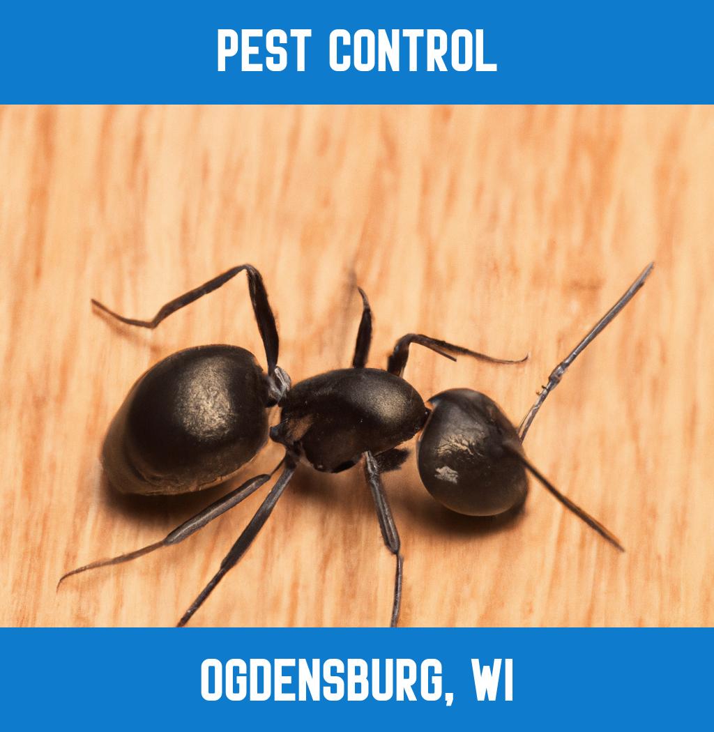pest control in Ogdensburg Wisconsin
