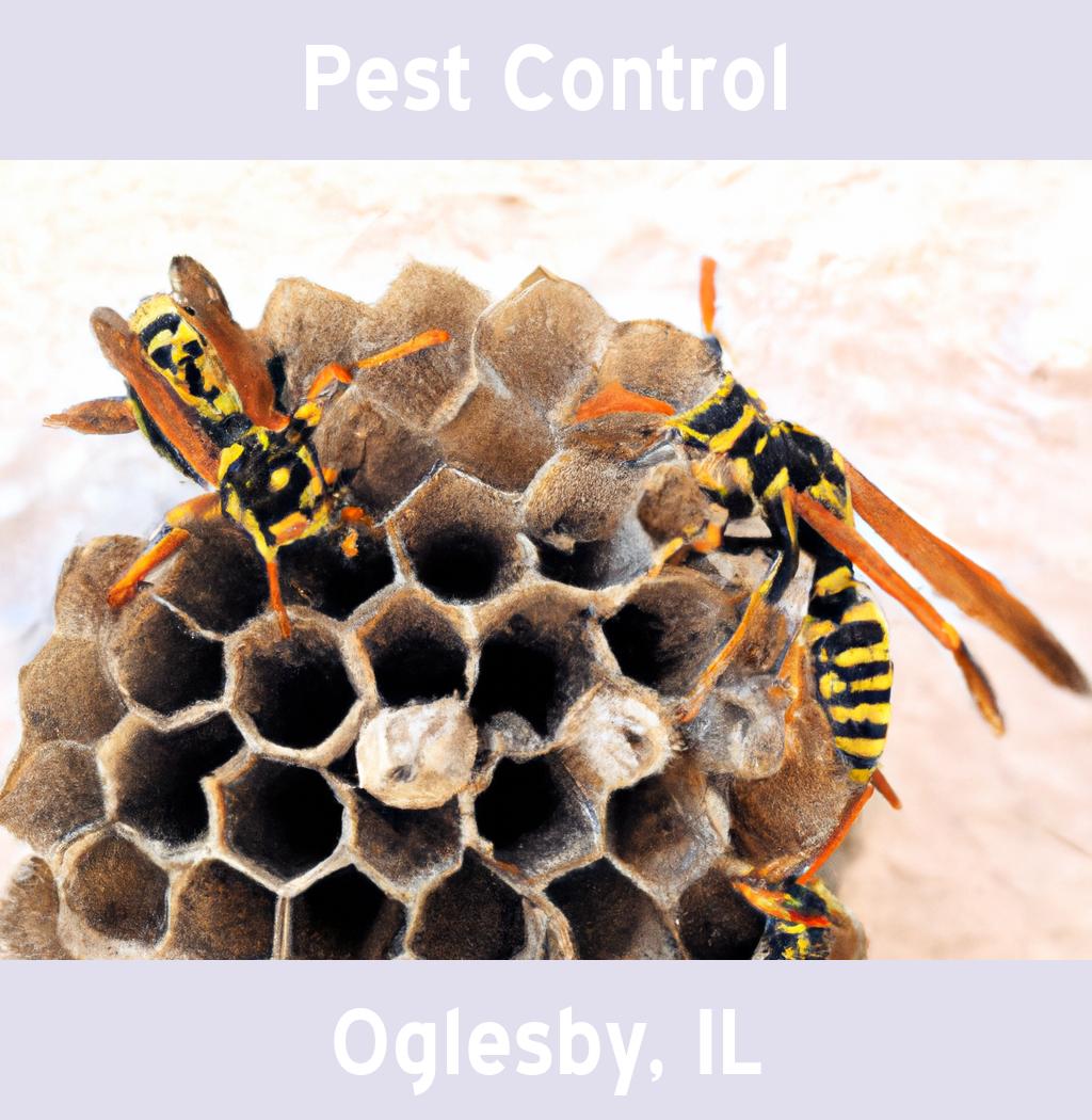 pest control in Oglesby Illinois