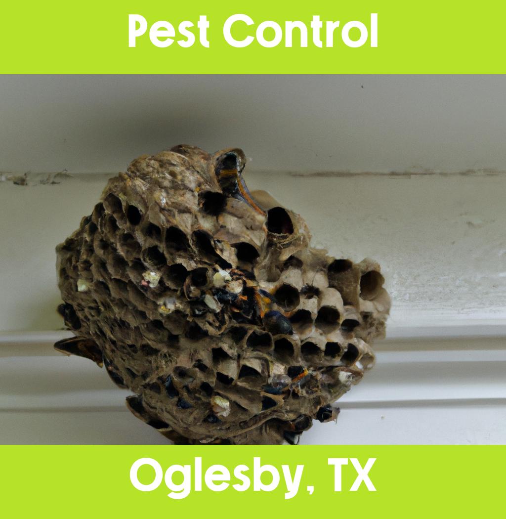 pest control in Oglesby Texas