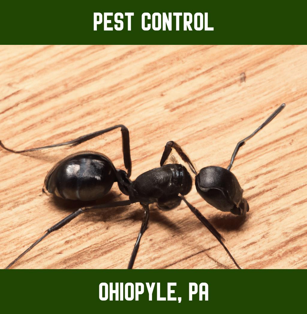 pest control in Ohiopyle Pennsylvania