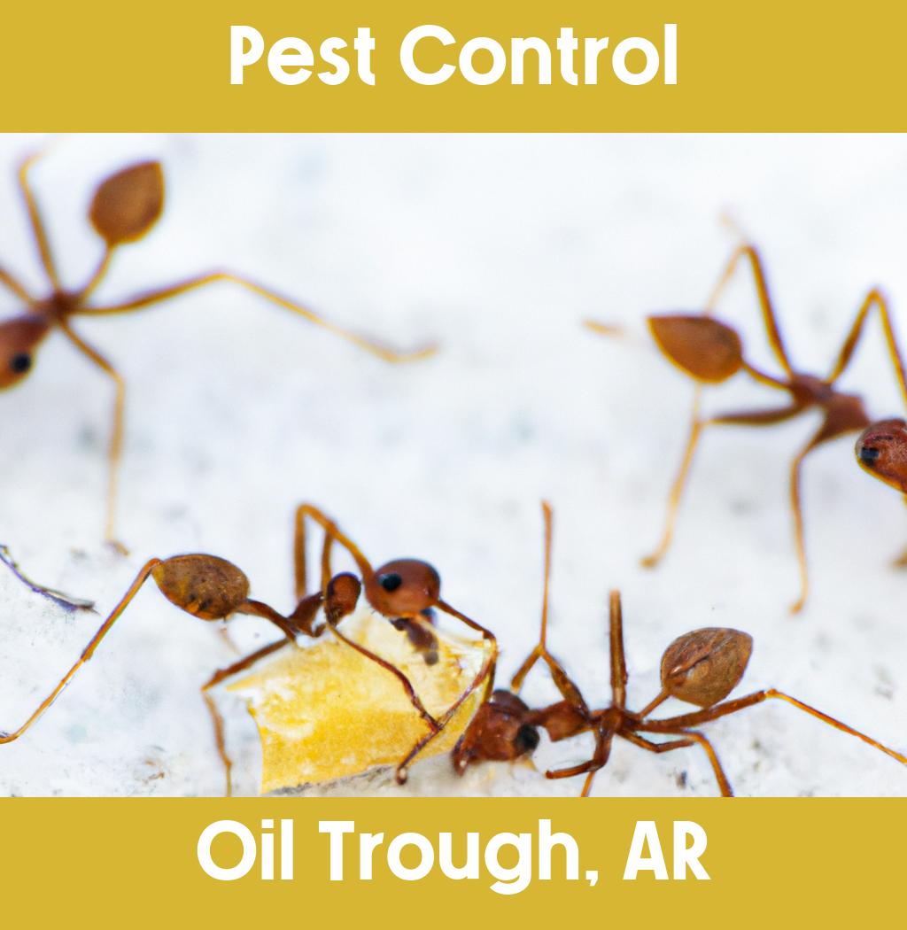 pest control in Oil Trough Arkansas