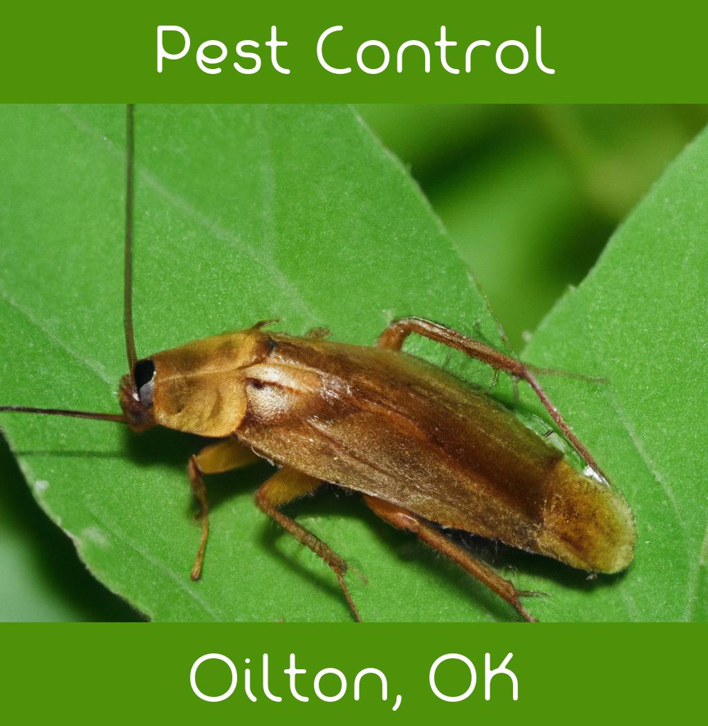 pest control in Oilton Oklahoma