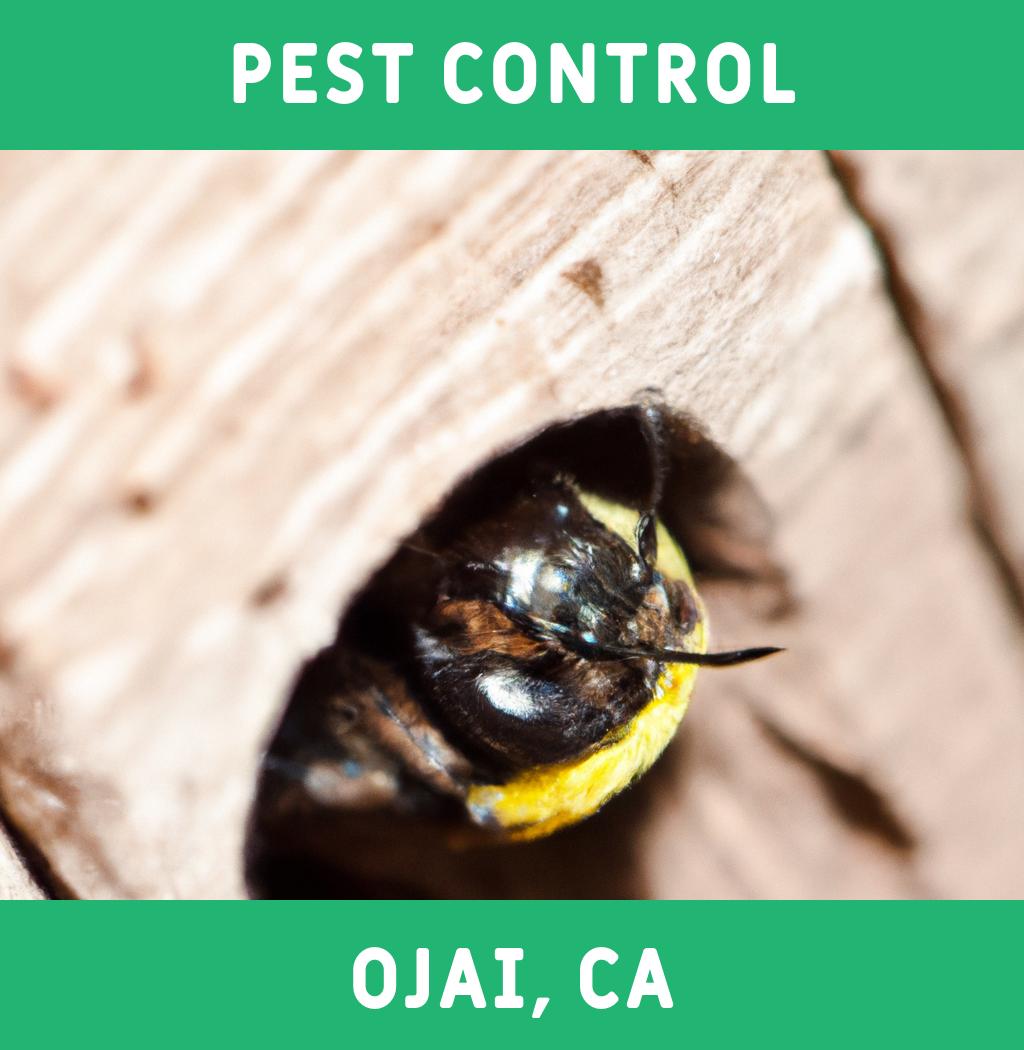pest control in Ojai California