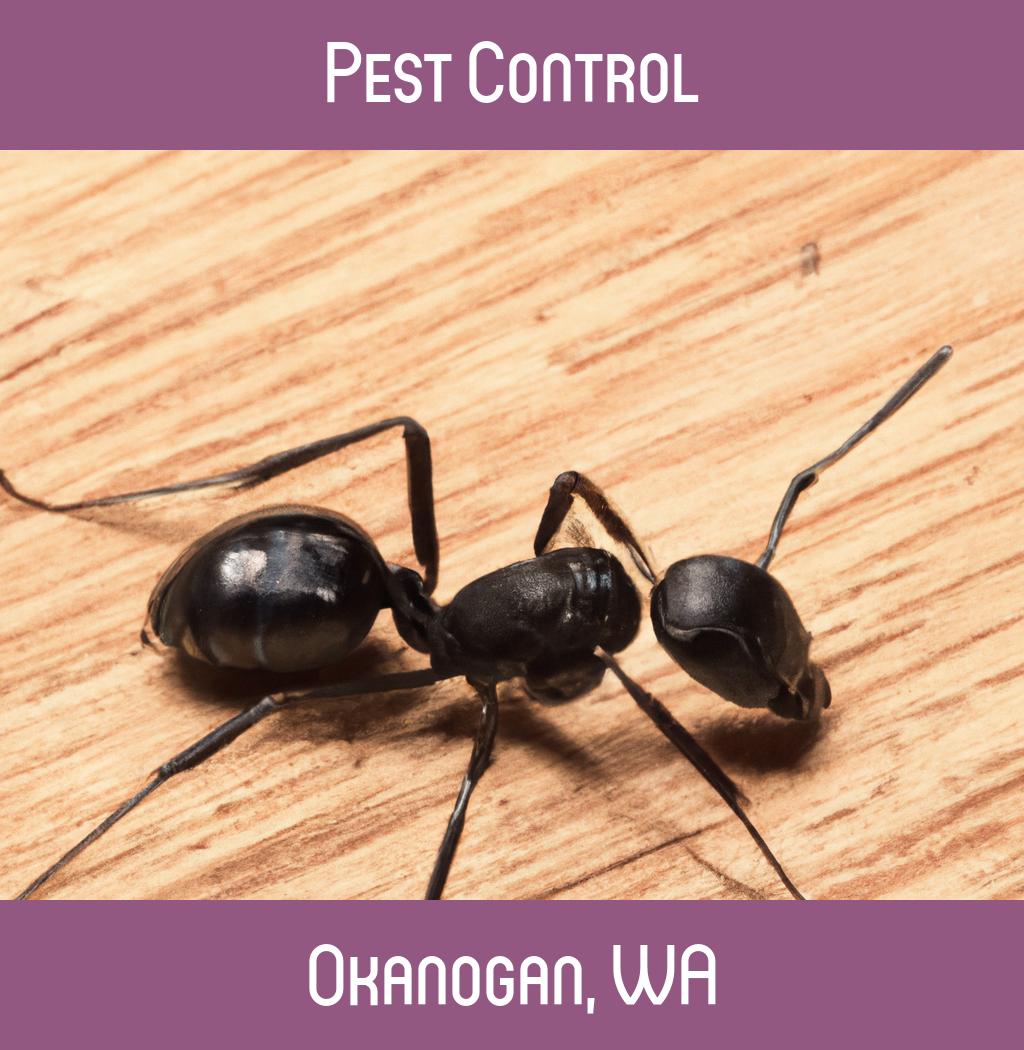 pest control in Okanogan Washington