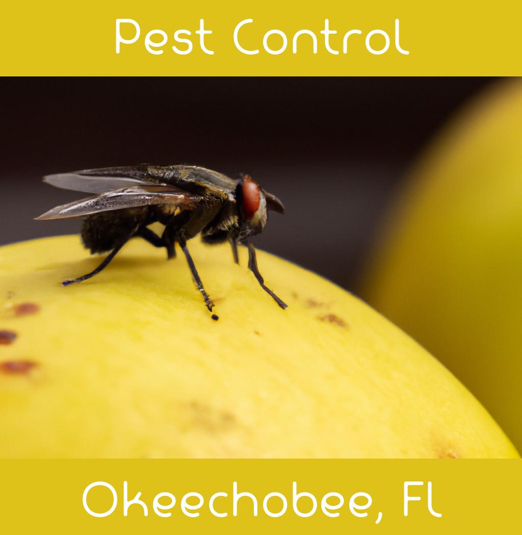 pest control in Okeechobee Florida