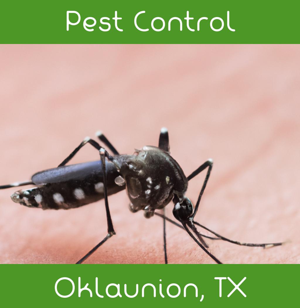 pest control in Oklaunion Texas