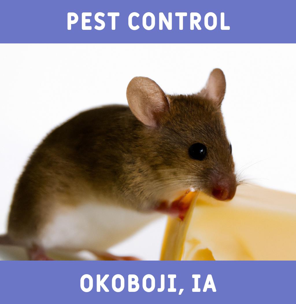 pest control in Okoboji Iowa