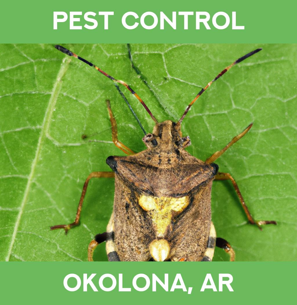 pest control in Okolona Arkansas