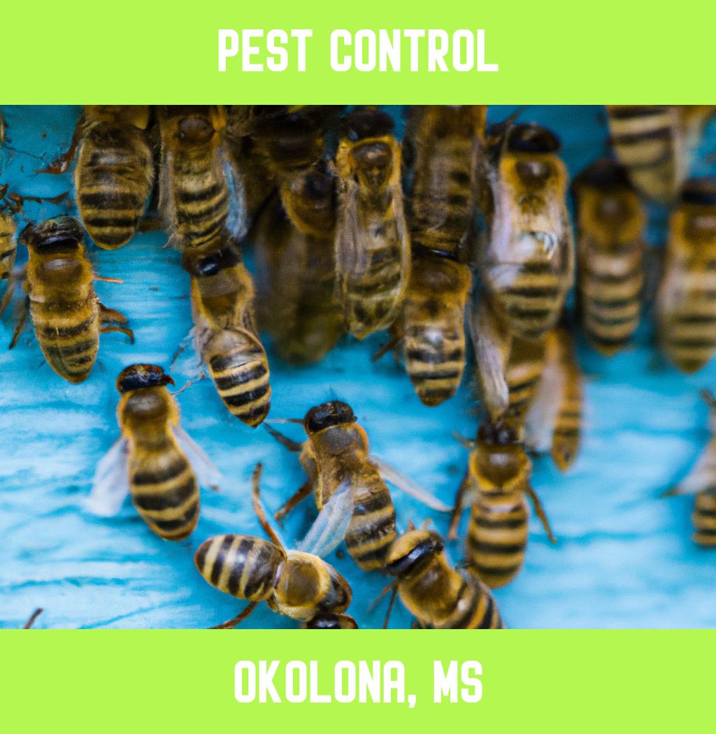 pest control in Okolona Mississippi