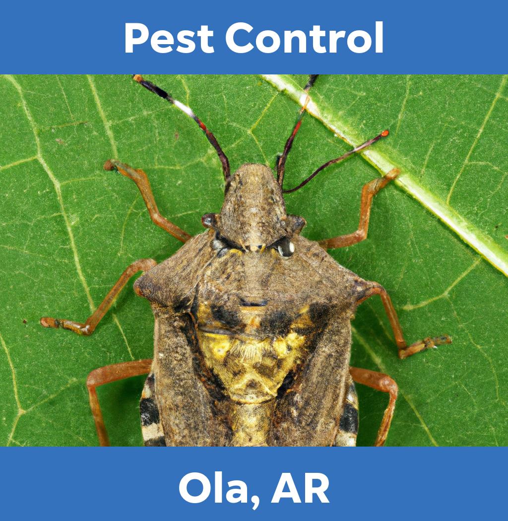 pest control in Ola Arkansas