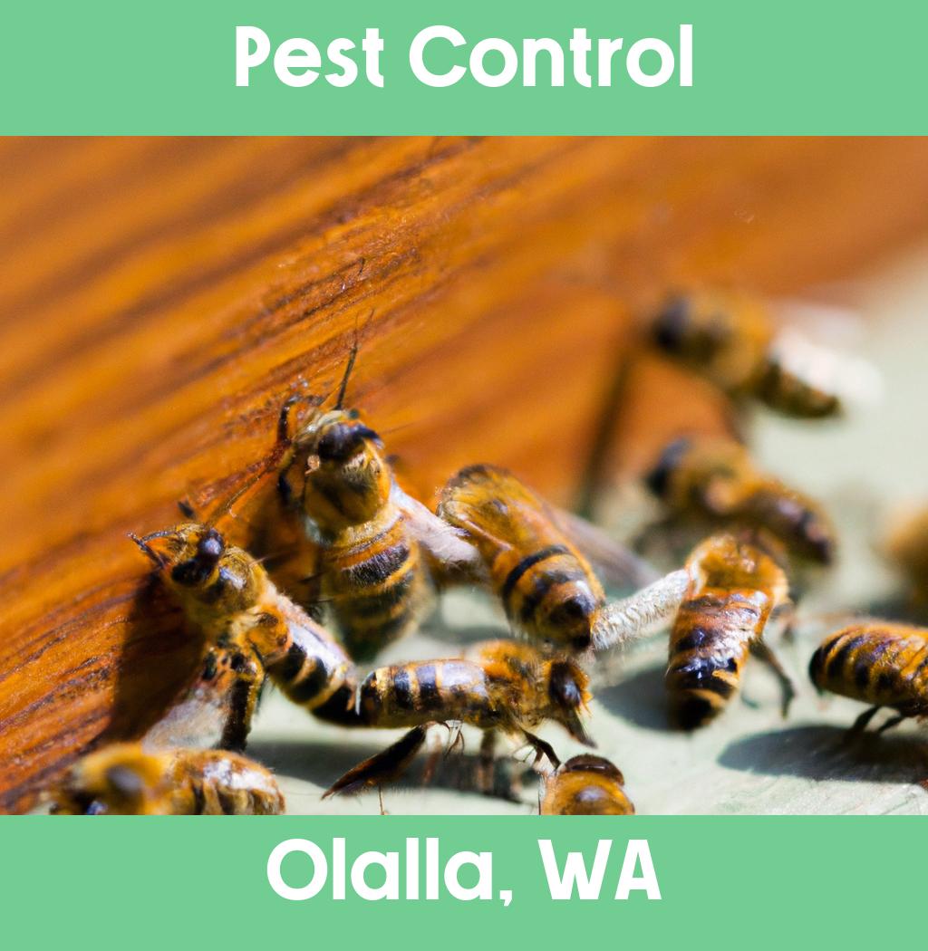 pest control in Olalla Washington