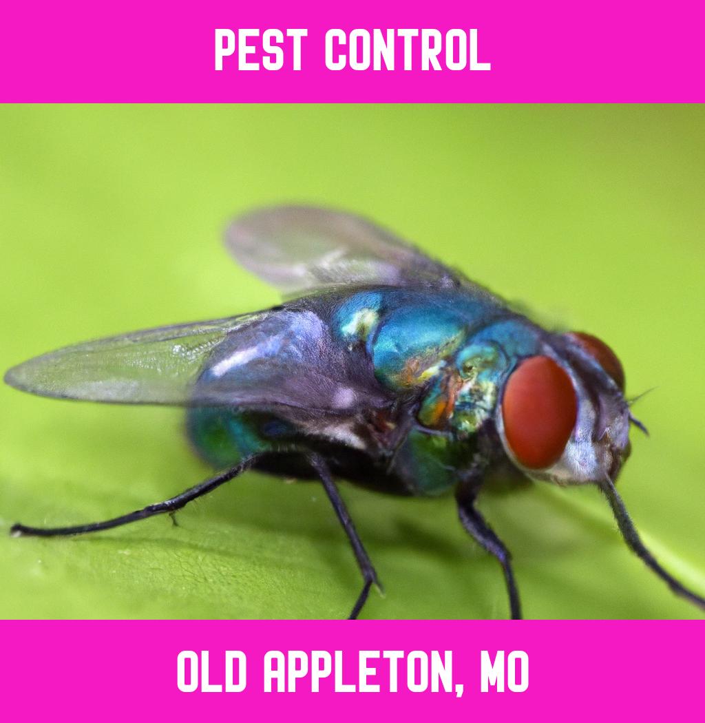 pest control in Old Appleton Missouri