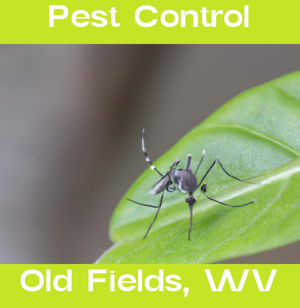 pest control in Old Fields West Virginia