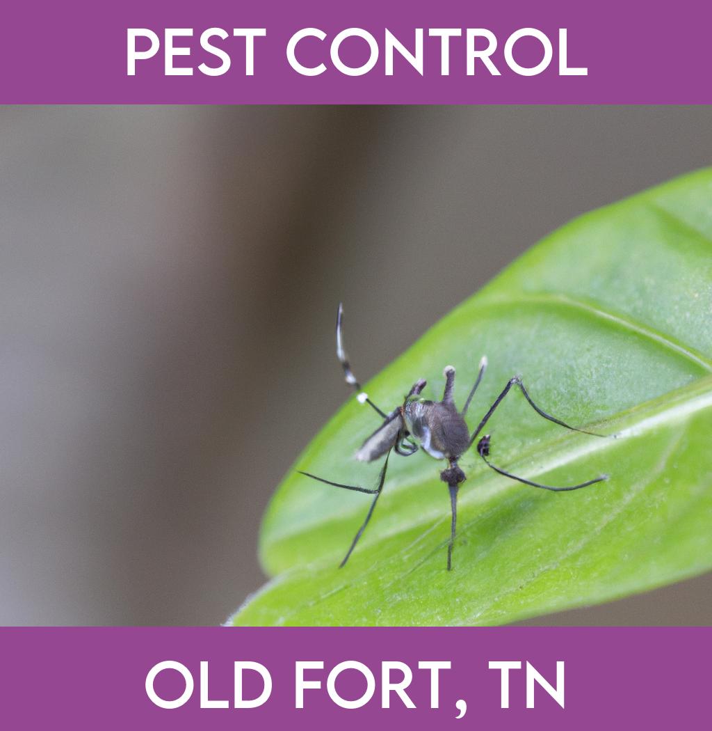 pest control in Old Fort Tennessee