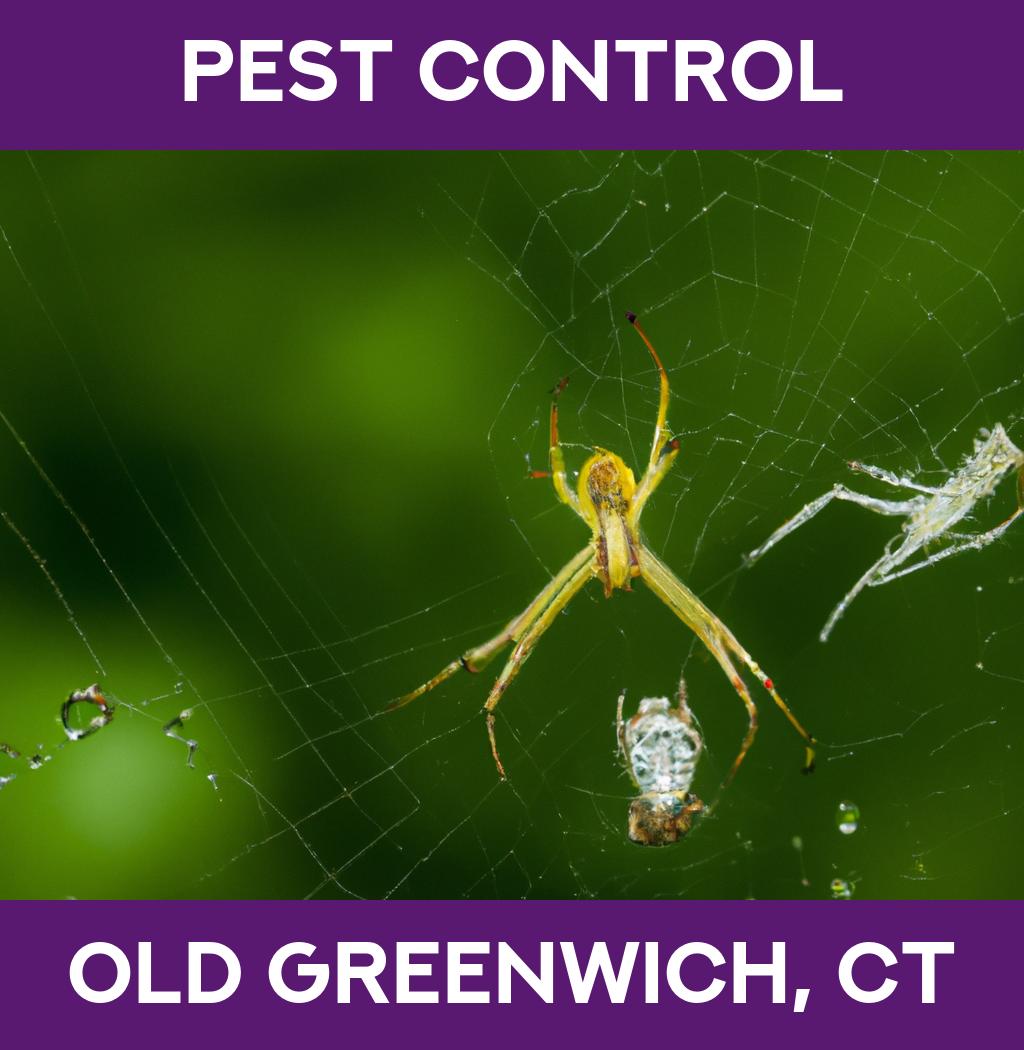 pest control in Old Greenwich Connecticut