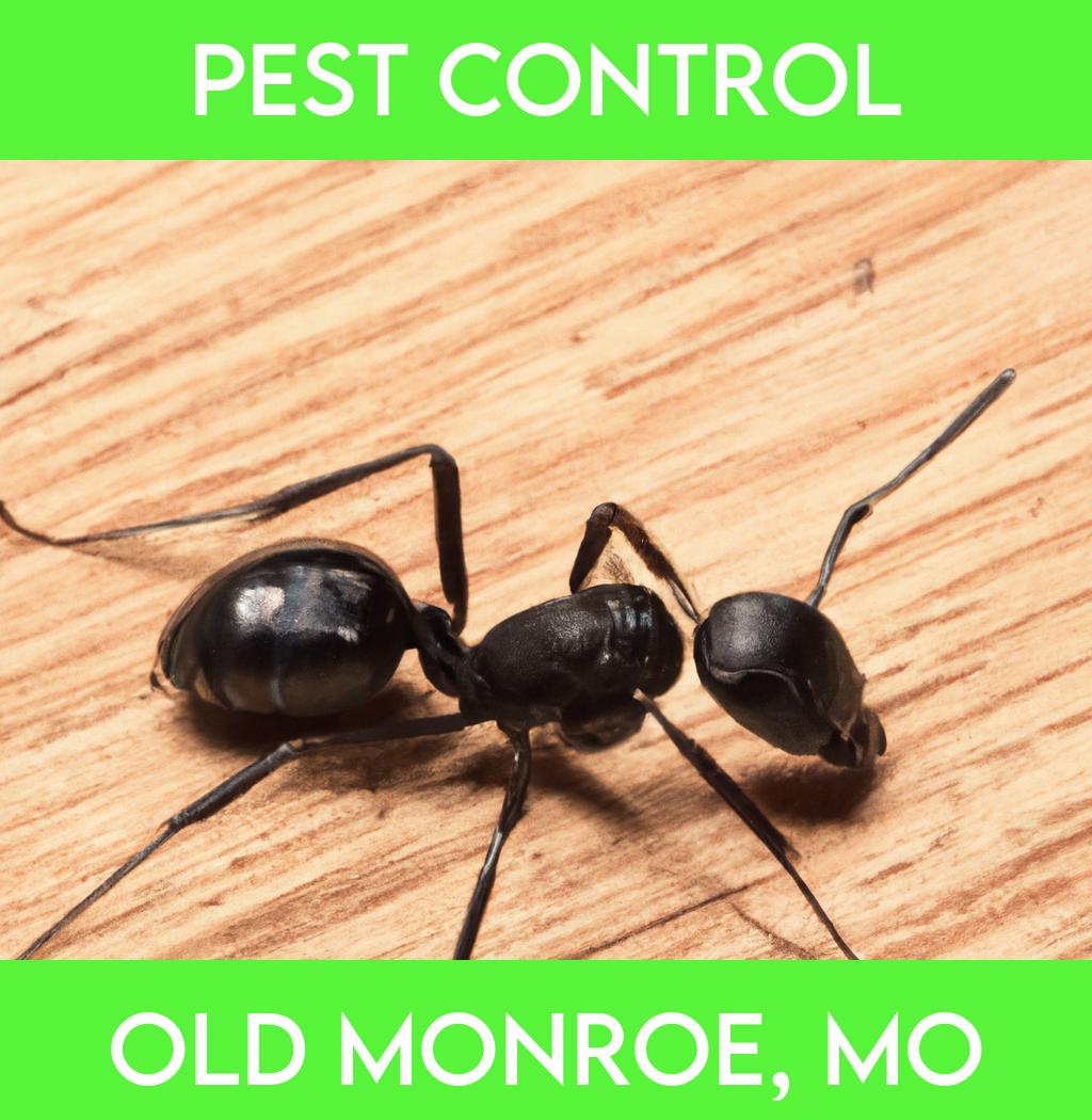 pest control in Old Monroe Missouri