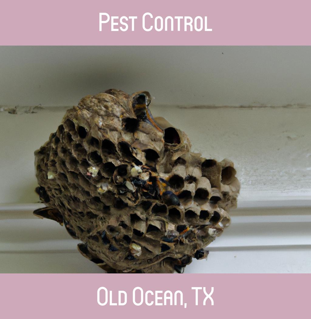 pest control in Old Ocean Texas