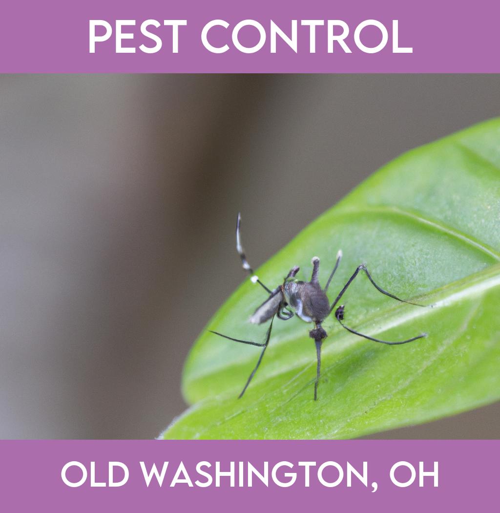 pest control in Old Washington Ohio