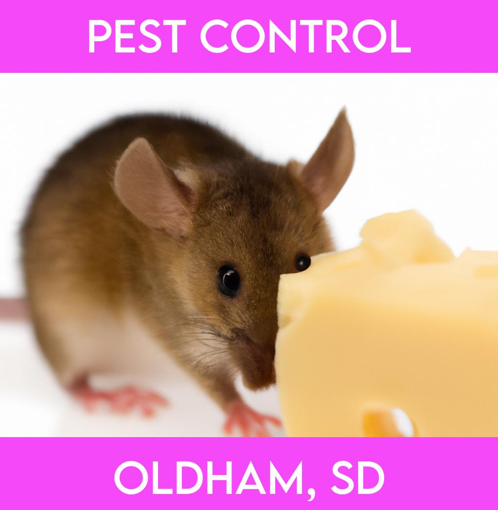 pest control in Oldham South Dakota