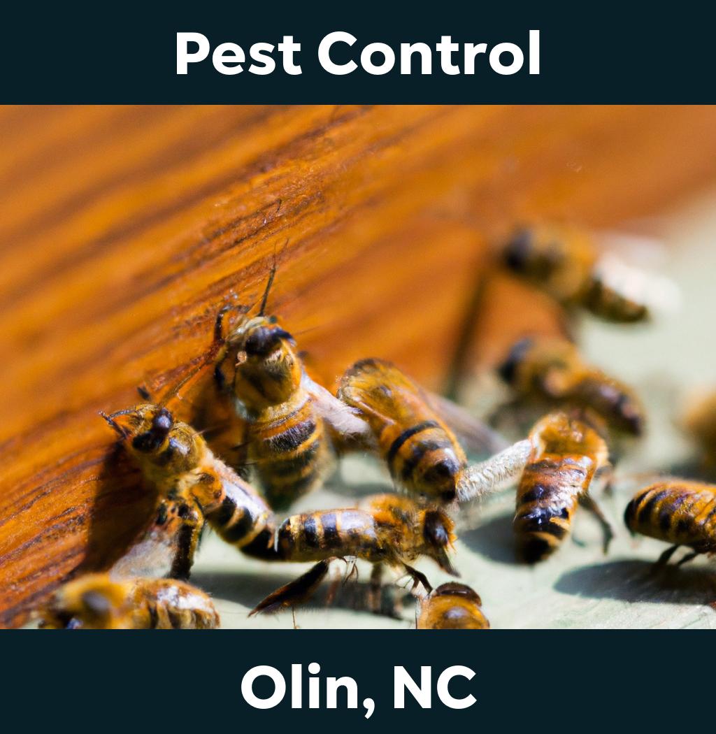 pest control in Olin North Carolina