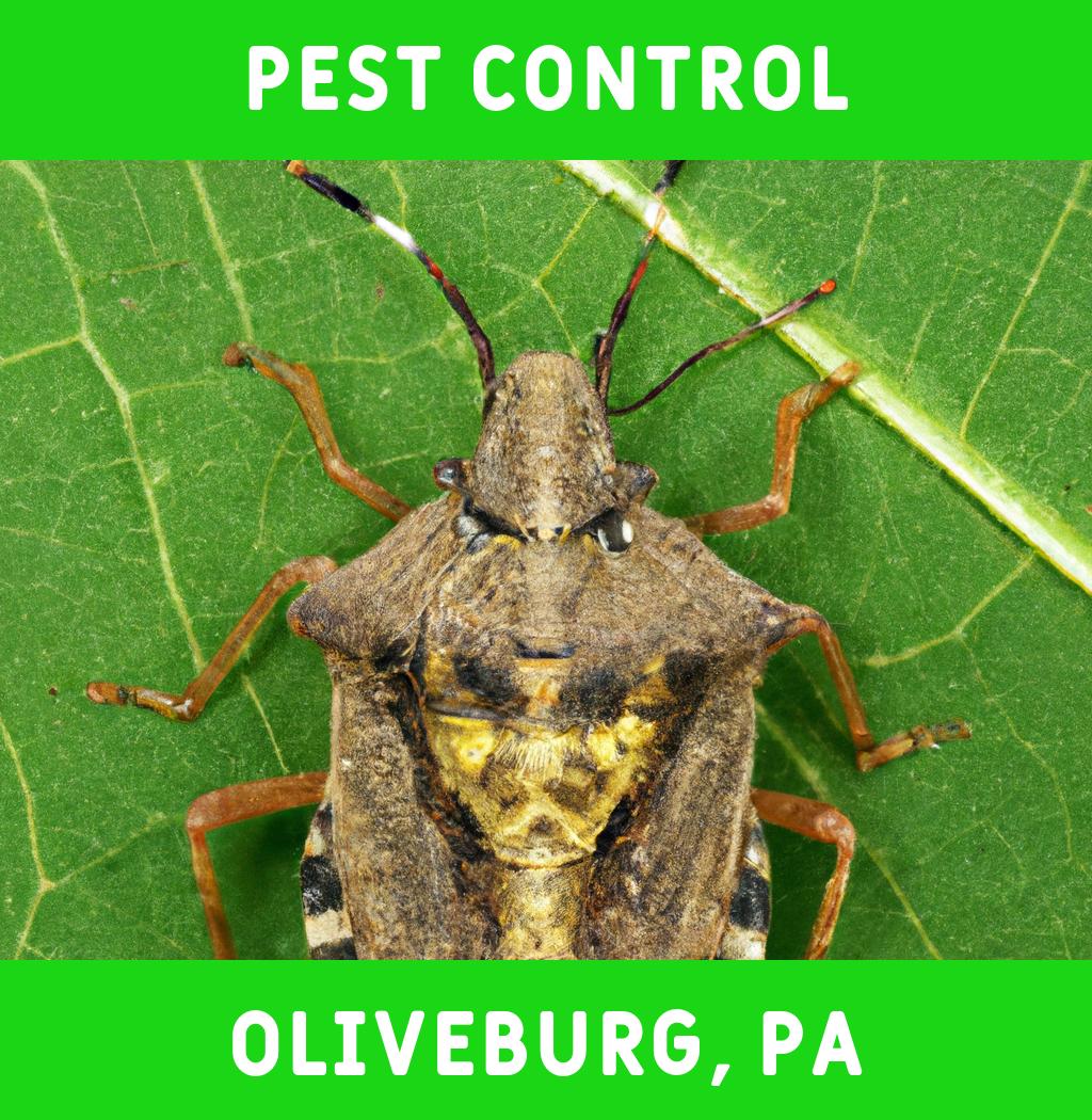 pest control in Oliveburg Pennsylvania