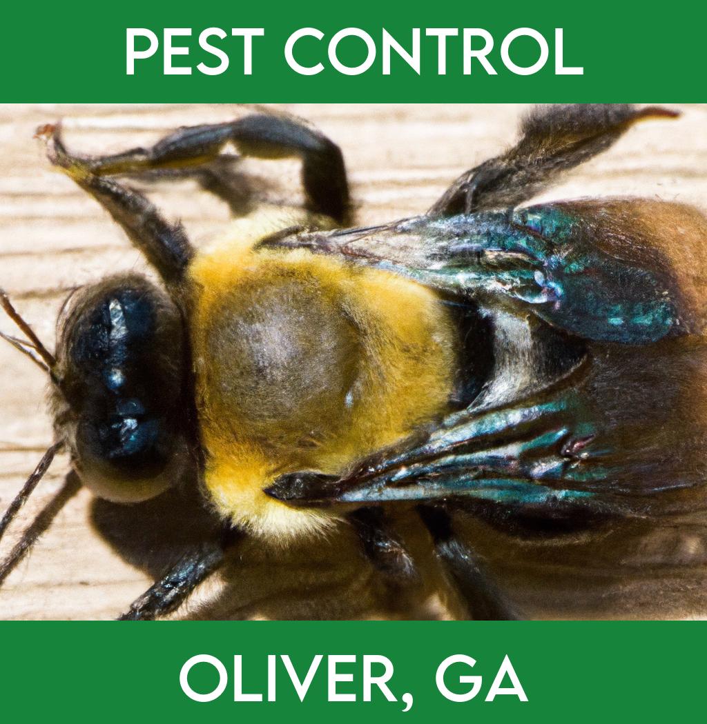 pest control in Oliver Georgia