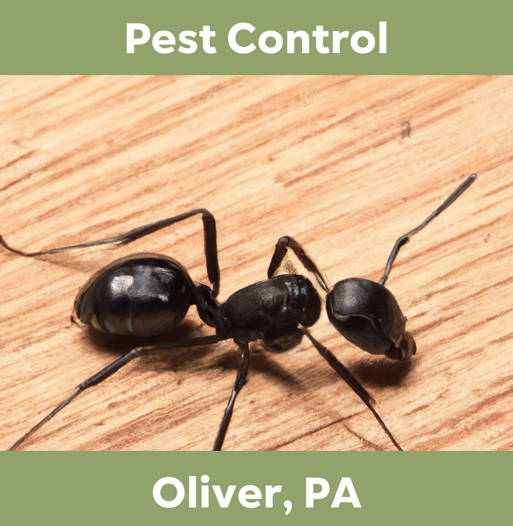 pest control in Oliver Pennsylvania