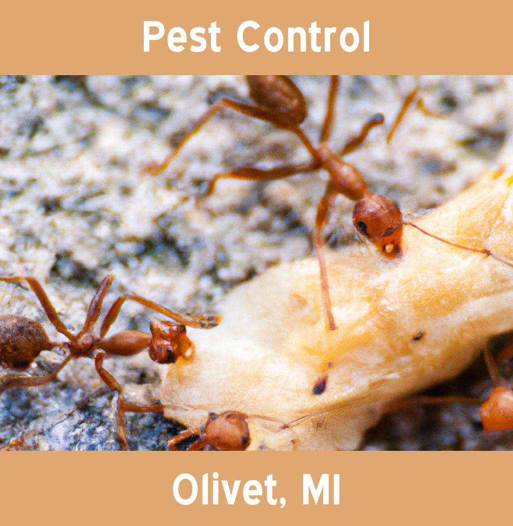 pest control in Olivet Michigan