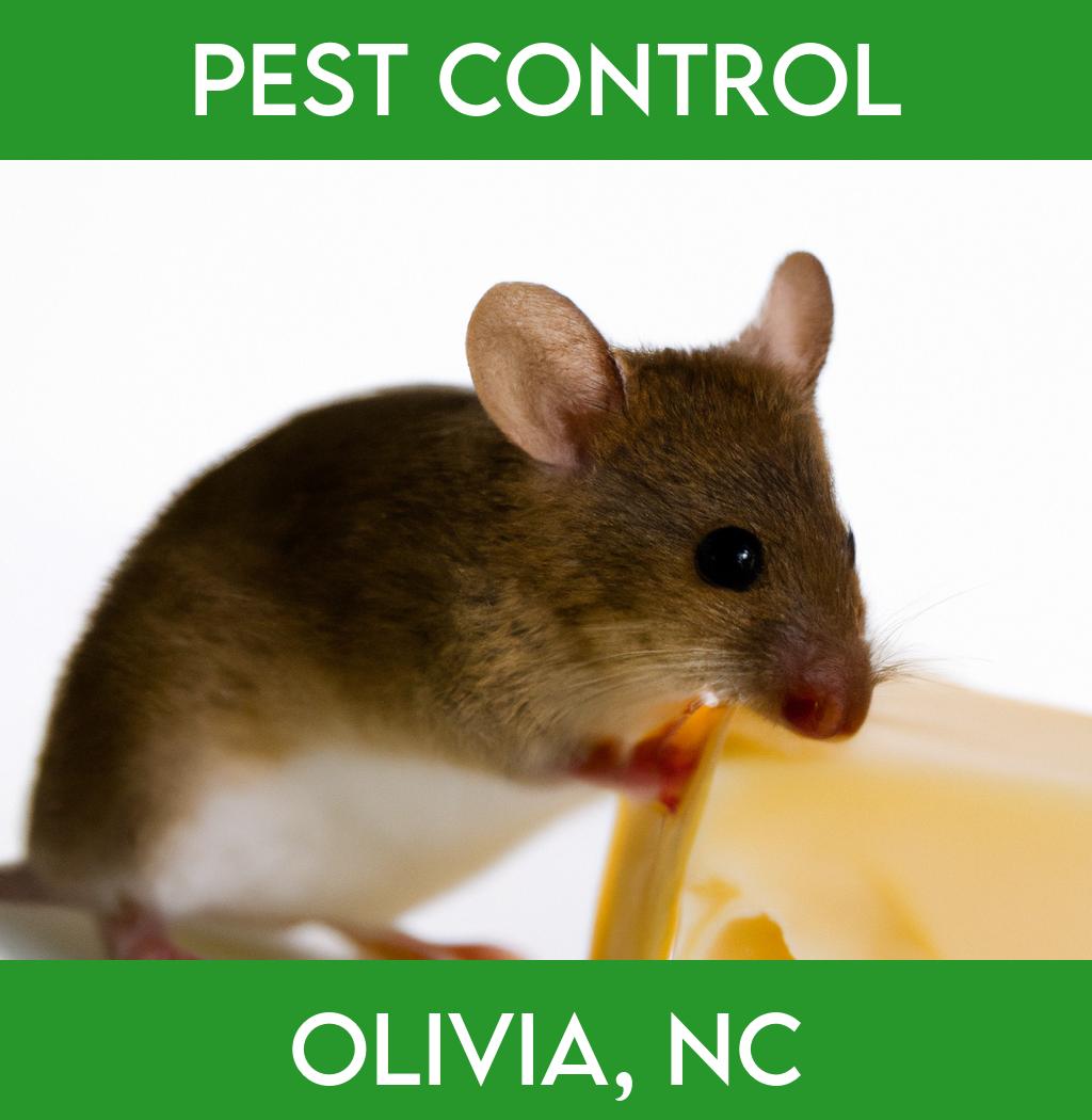 pest control in Olivia North Carolina