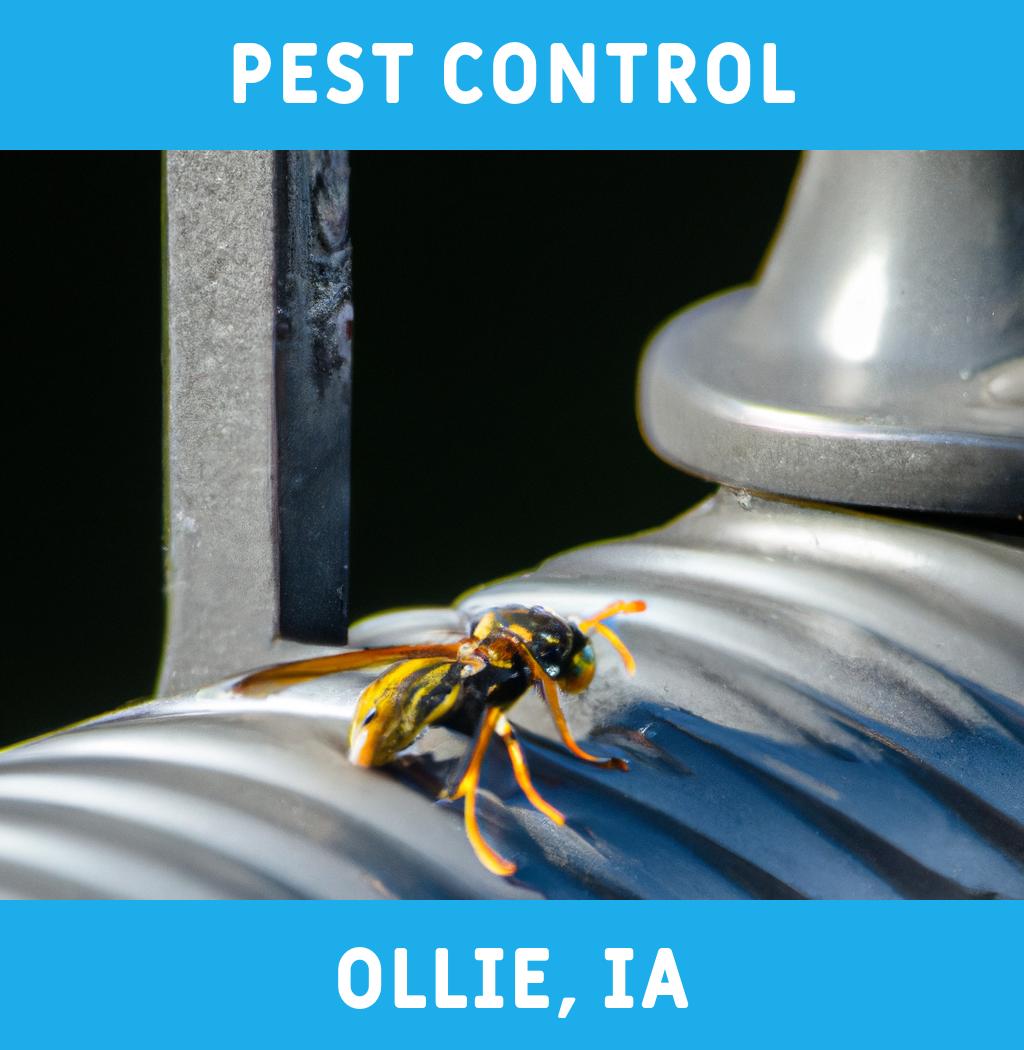 pest control in Ollie Iowa