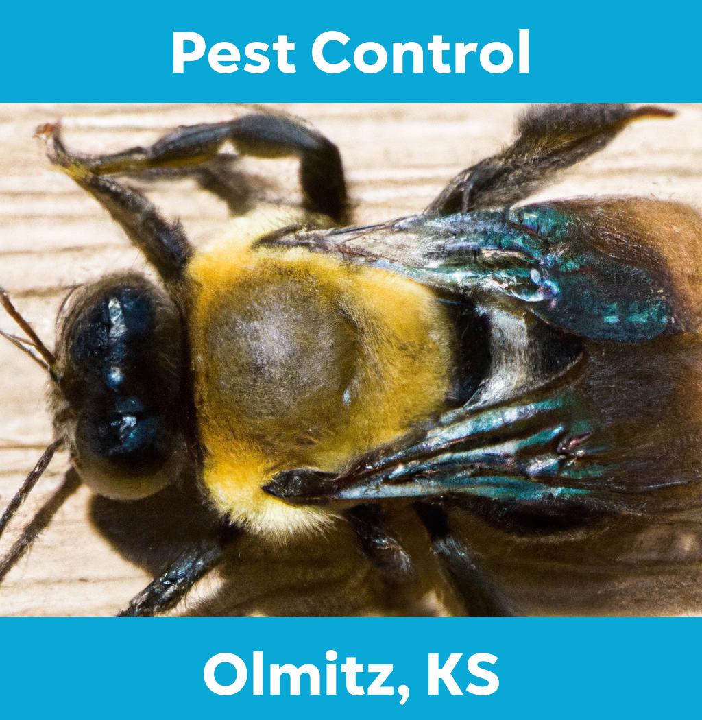 pest control in Olmitz Kansas
