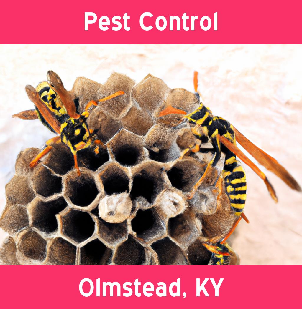 pest control in Olmstead Kentucky