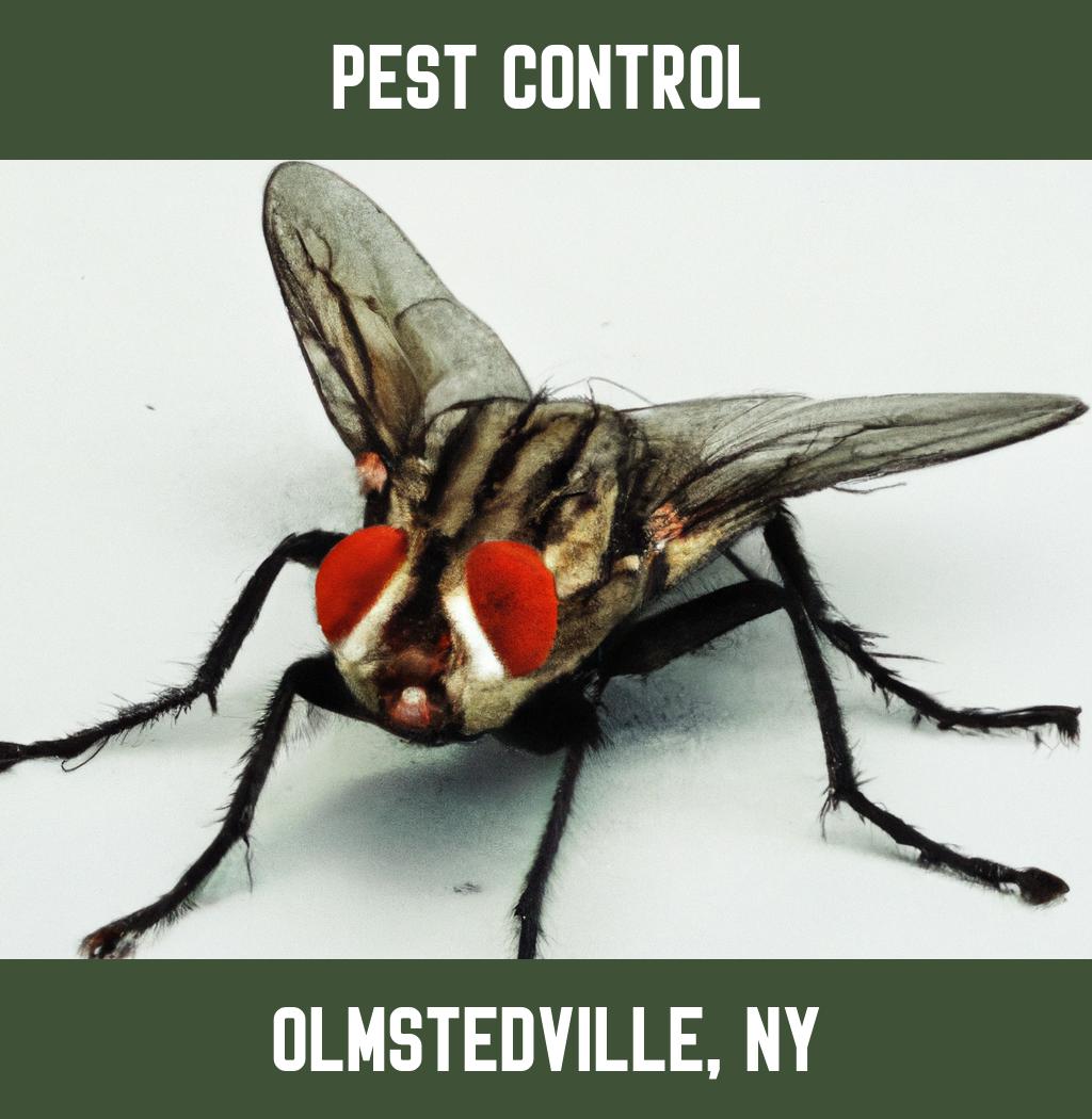 pest control in Olmstedville New York