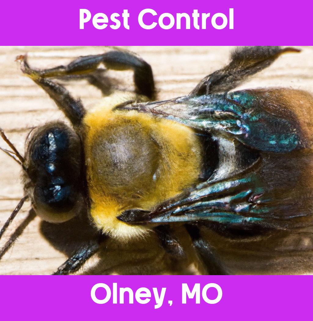 pest control in Olney Missouri