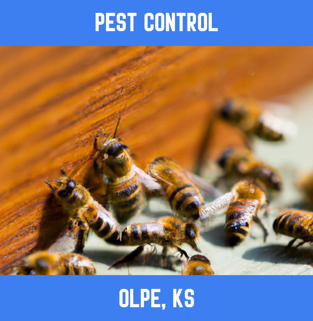 pest control in Olpe Kansas