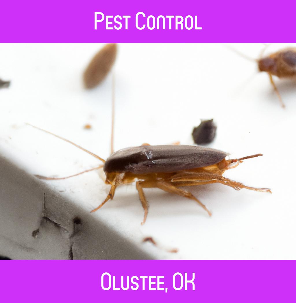 pest control in Olustee Oklahoma