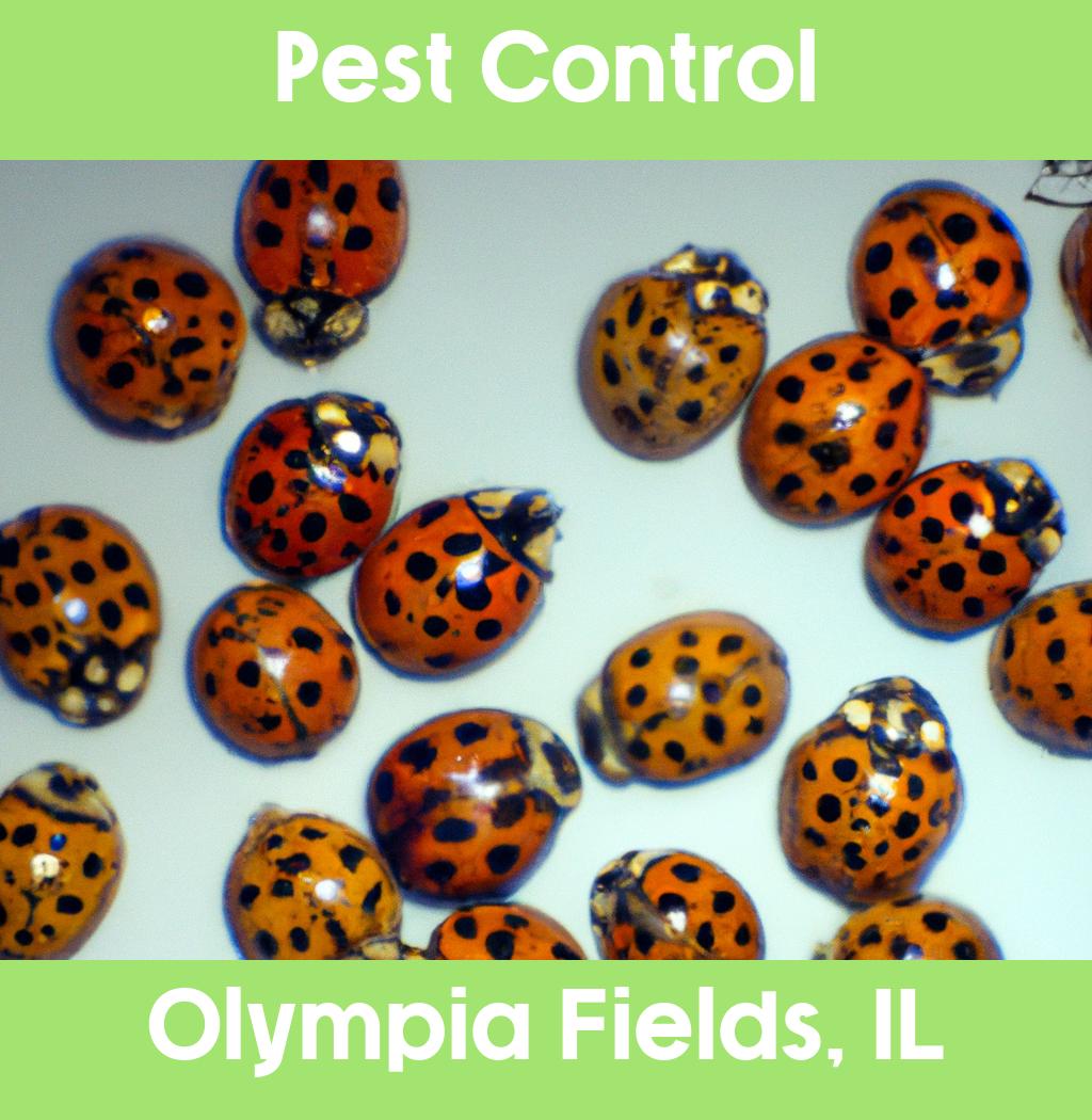 pest control in Olympia Fields Illinois