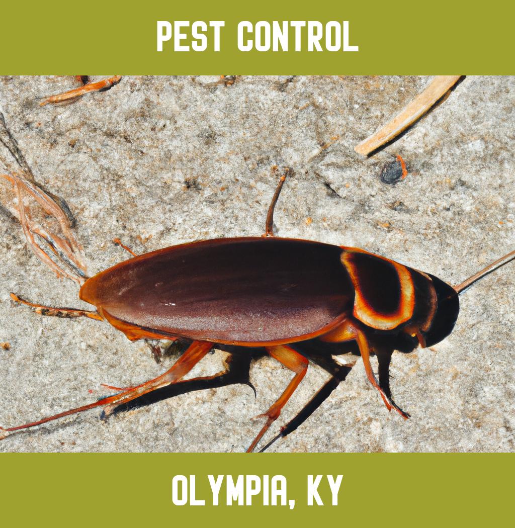 pest control in Olympia Kentucky