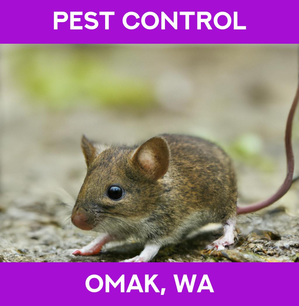 pest control in Omak Washington