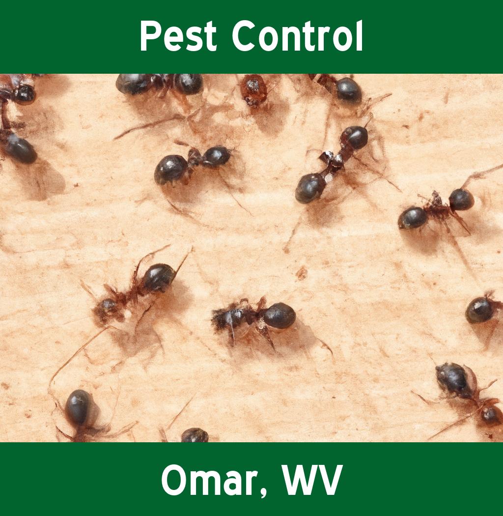 pest control in Omar West Virginia