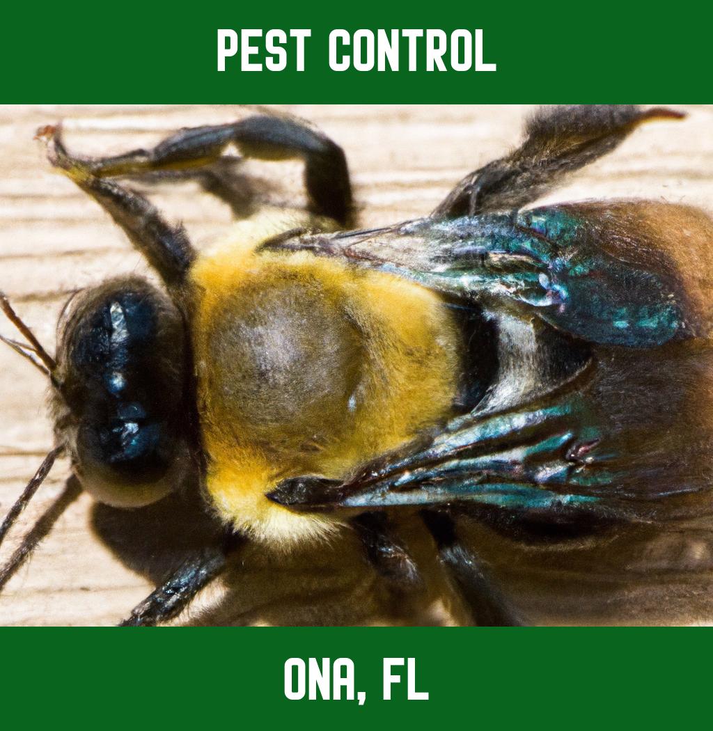 pest control in Ona Florida