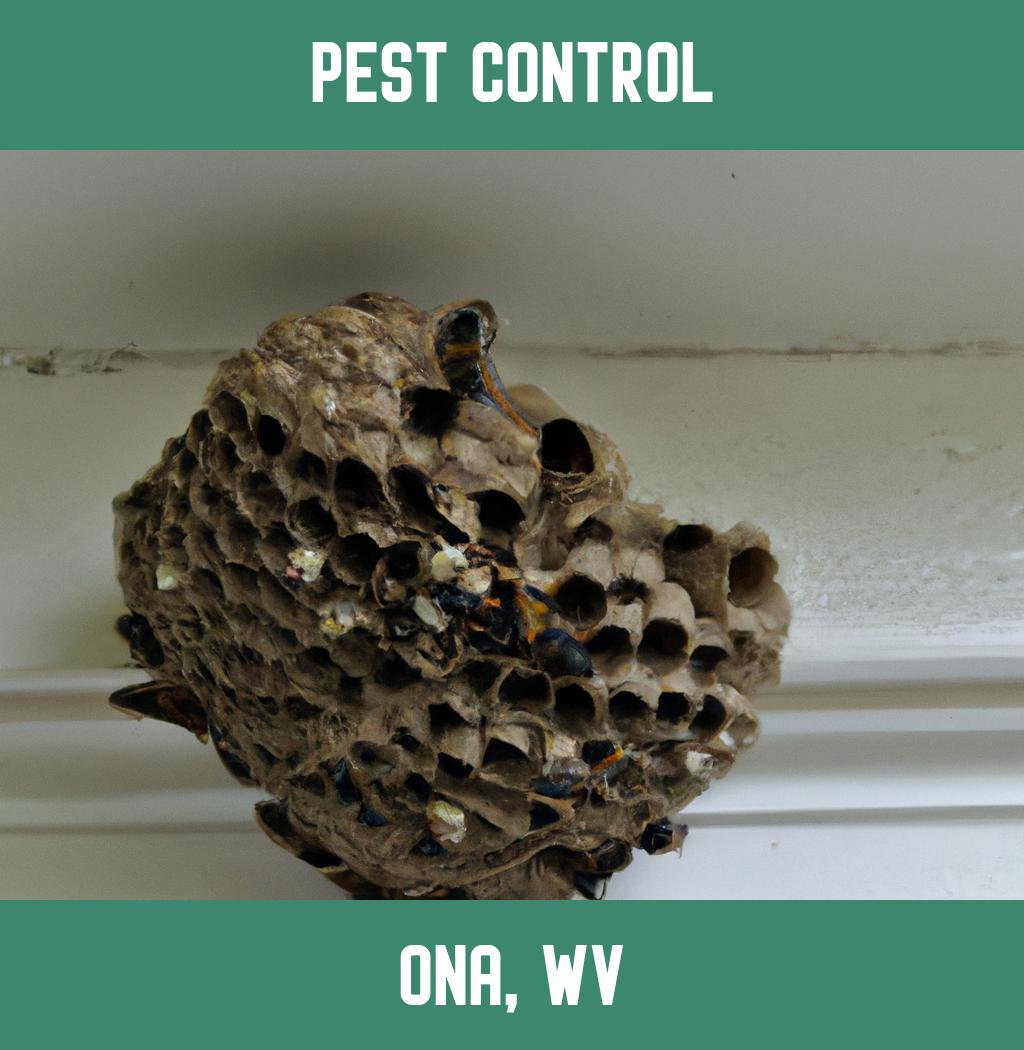 pest control in Ona West Virginia