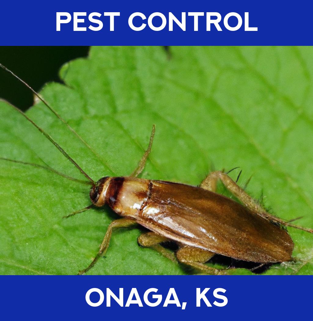 pest control in Onaga Kansas