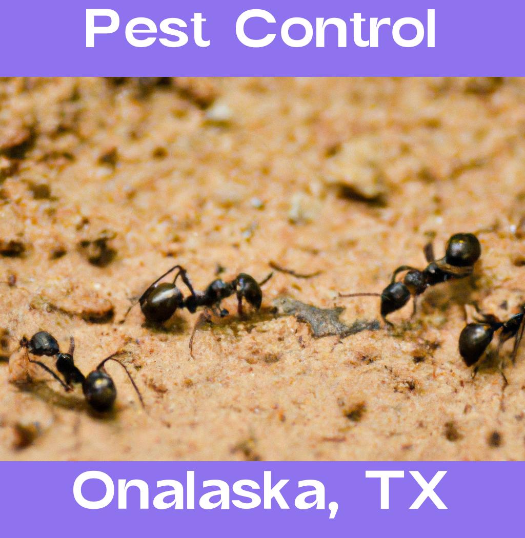 pest control in Onalaska Texas