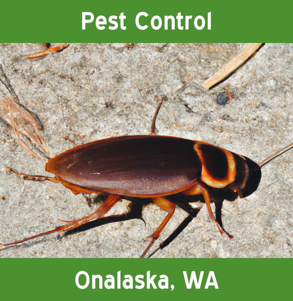 pest control in Onalaska Washington