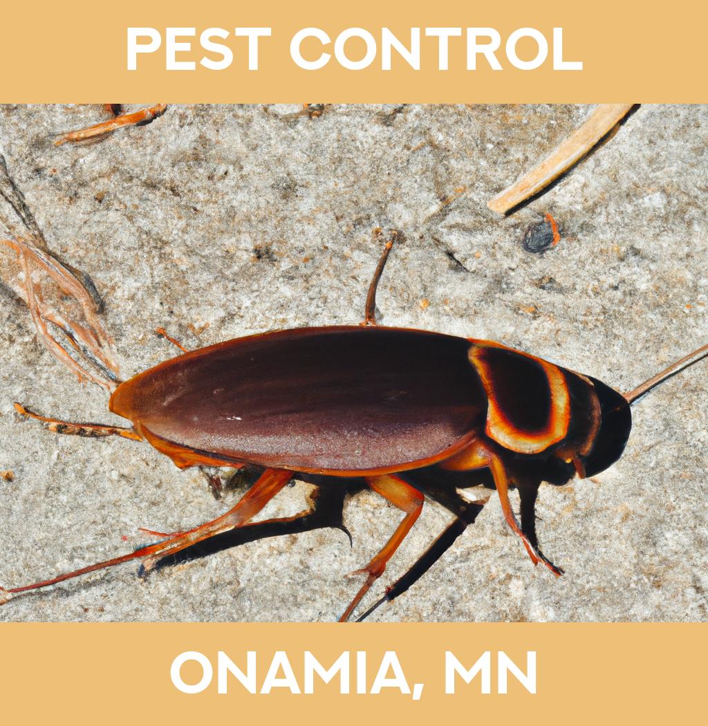 pest control in Onamia Minnesota